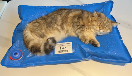 Animal Surgical Accessories Pet Vacuum Positioning Mat Small Veterinary Examination Pad